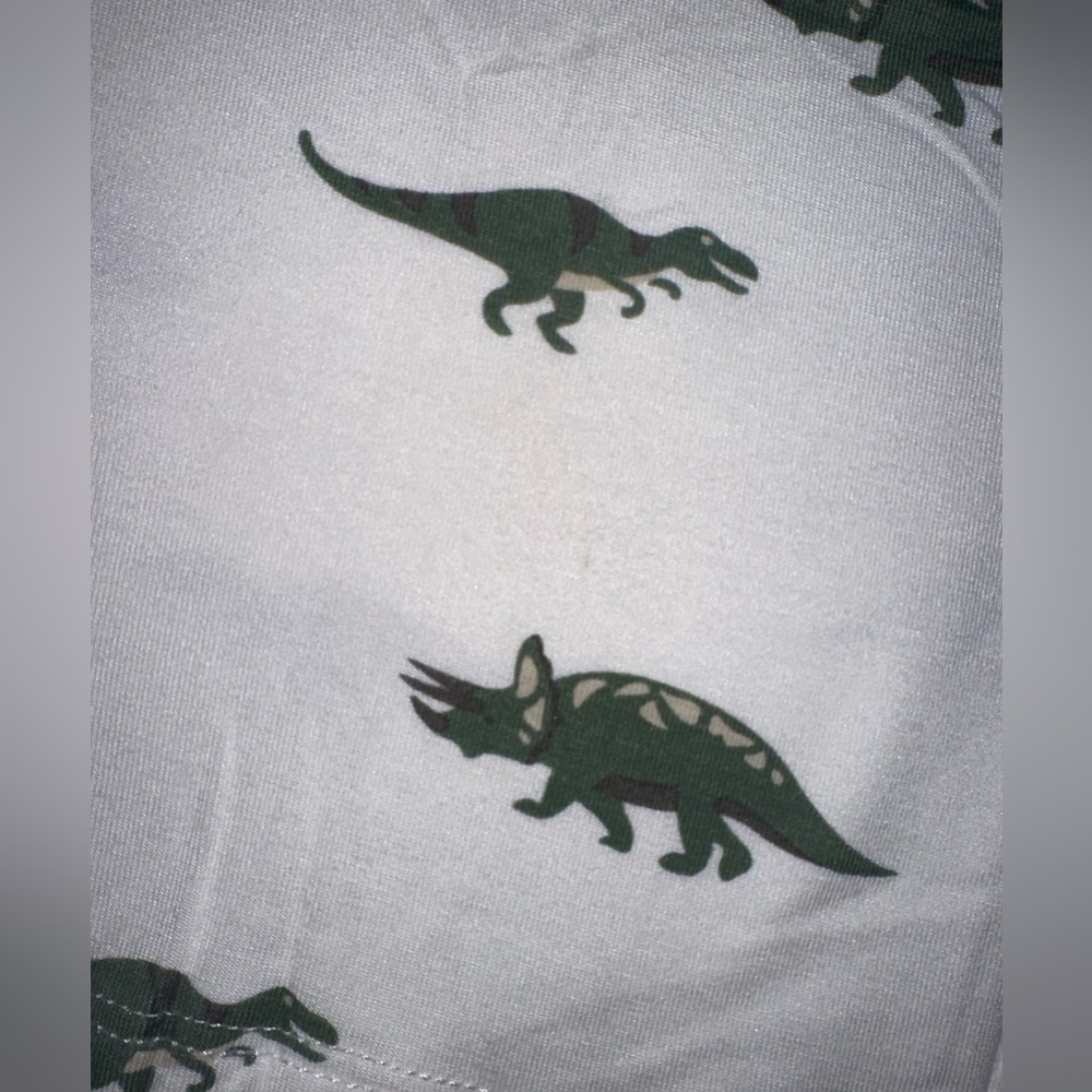 🦖Kyte Set🦖 - Picture 4 of 5